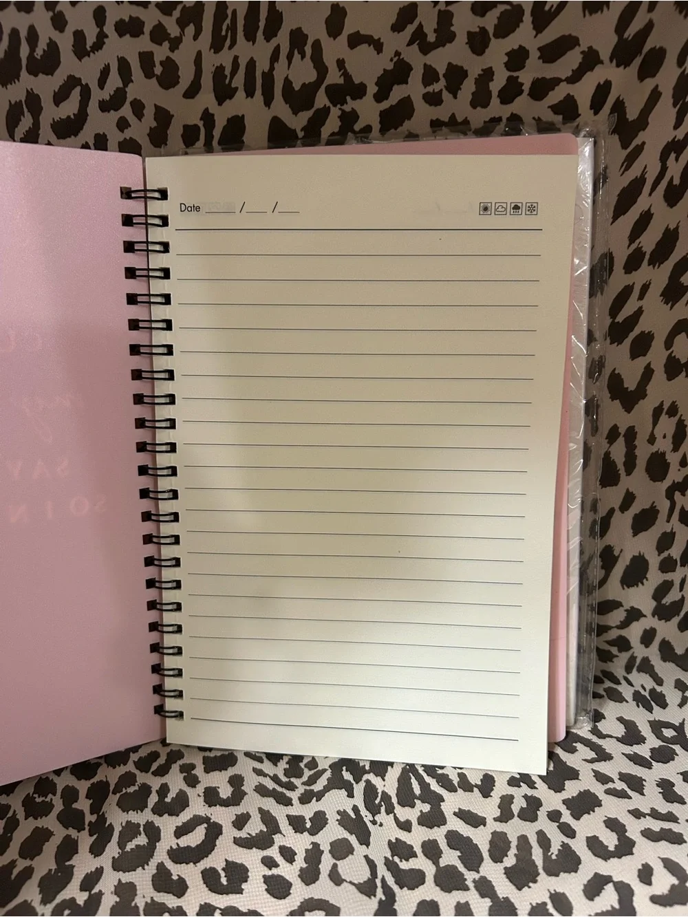“Little Girl” Journals